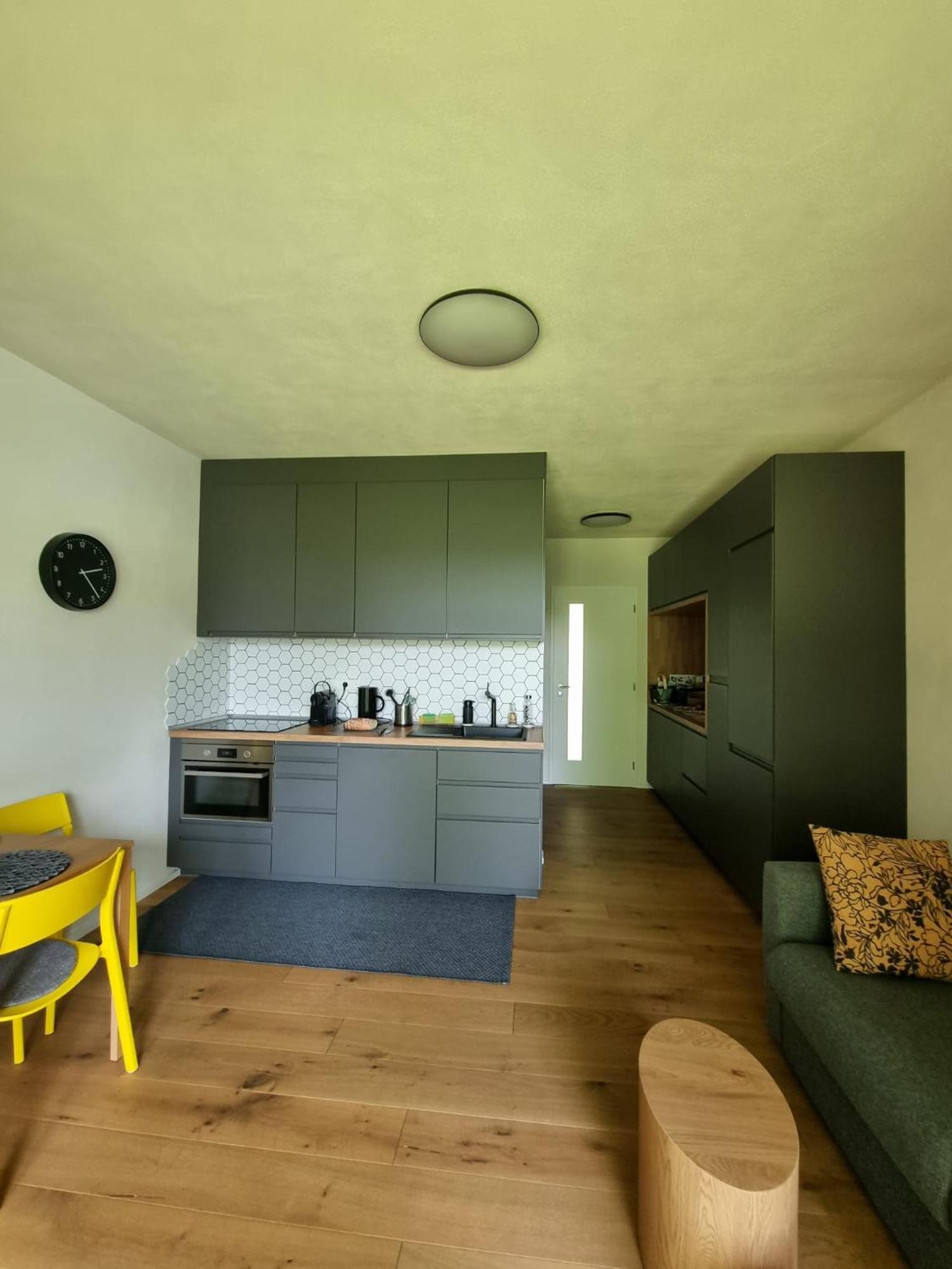 Apartman Berg Brcalnik Železná Ruda Εξωτερικό φωτογραφία